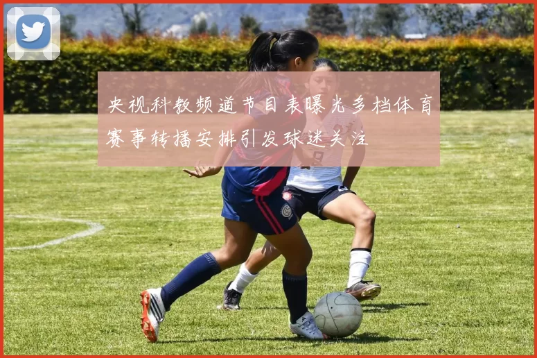 央视科教频道节目表曝光多档体育赛事转播安排引发球迷关注