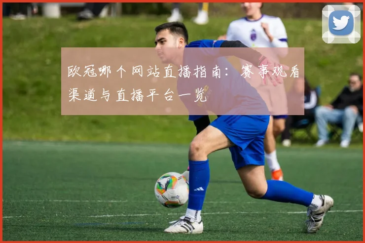 欧冠哪个网站直播指南：赛事观看渠道与直播平台一览
