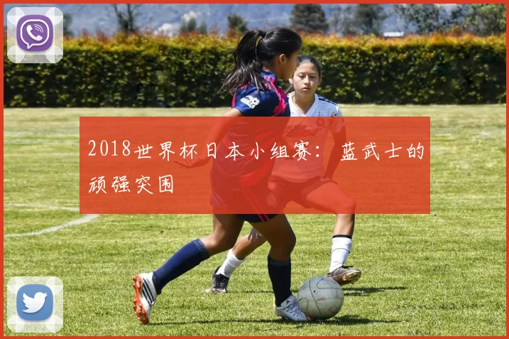 2018世界杯日本小组赛：蓝武士的顽强突围