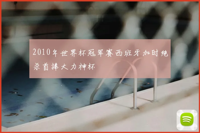 2010年世界杯冠军赛西班牙加时绝杀首捧大力神杯