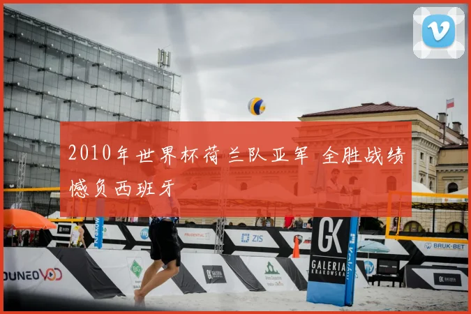 2010年世界杯荷兰队亚军 全胜战绩憾负西班牙